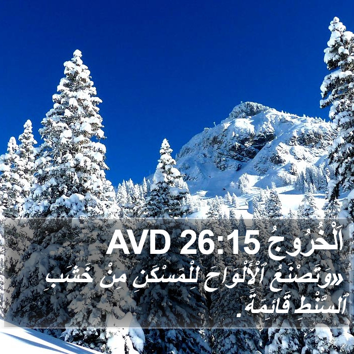 اَلْخُرُوجُ 26:15 AVD Bible Study