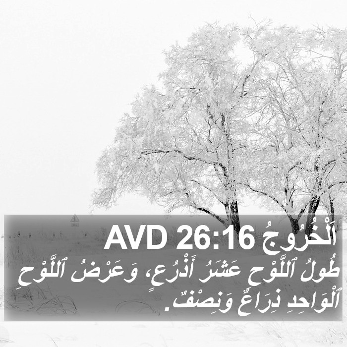 اَلْخُرُوجُ 26:16 AVD Bible Study