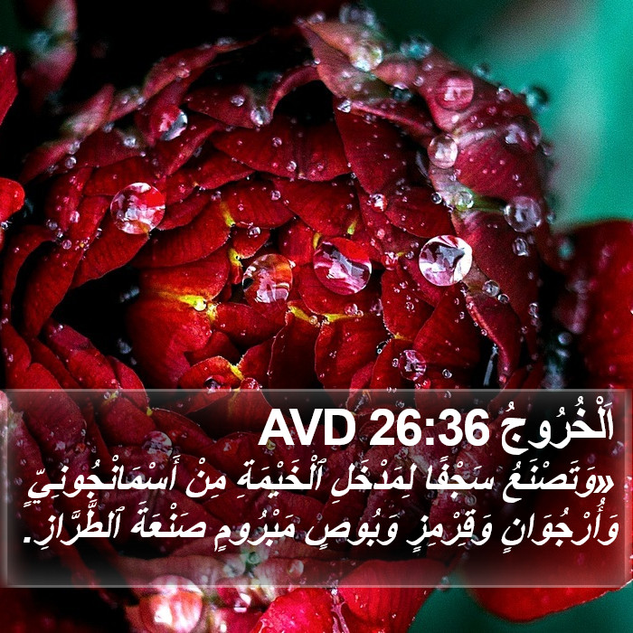 اَلْخُرُوجُ 26:36 AVD Bible Study