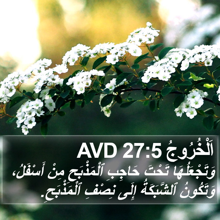 اَلْخُرُوجُ 27:5 AVD Bible Study