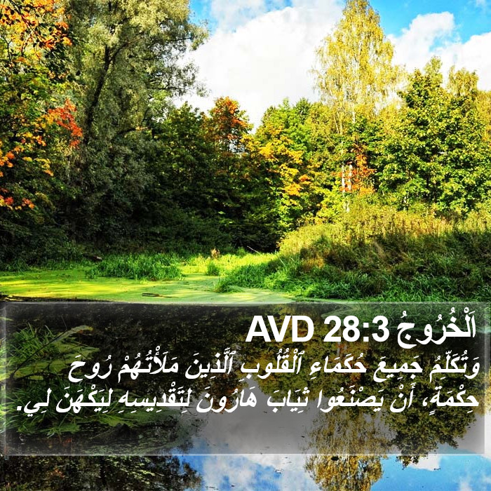 اَلْخُرُوجُ 28:3 AVD Bible Study