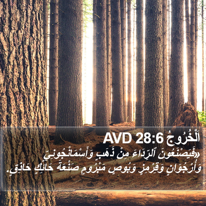 اَلْخُرُوجُ 28:6 AVD Bible Study