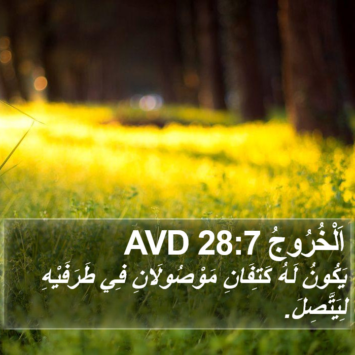 اَلْخُرُوجُ 28:7 AVD Bible Study