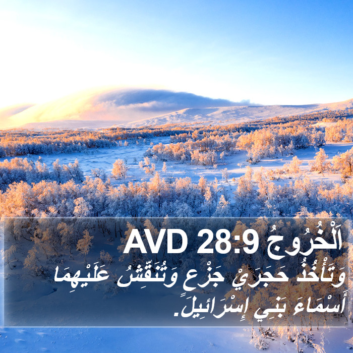 اَلْخُرُوجُ 28:9 AVD Bible Study