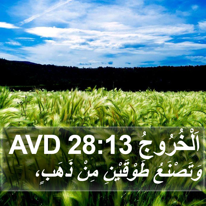 اَلْخُرُوجُ 28:13 AVD Bible Study