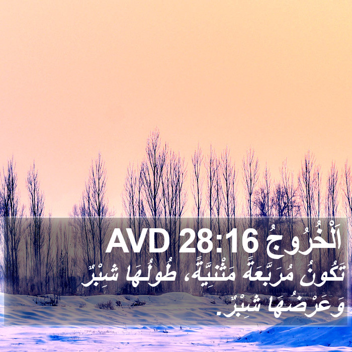 اَلْخُرُوجُ 28:16 AVD Bible Study