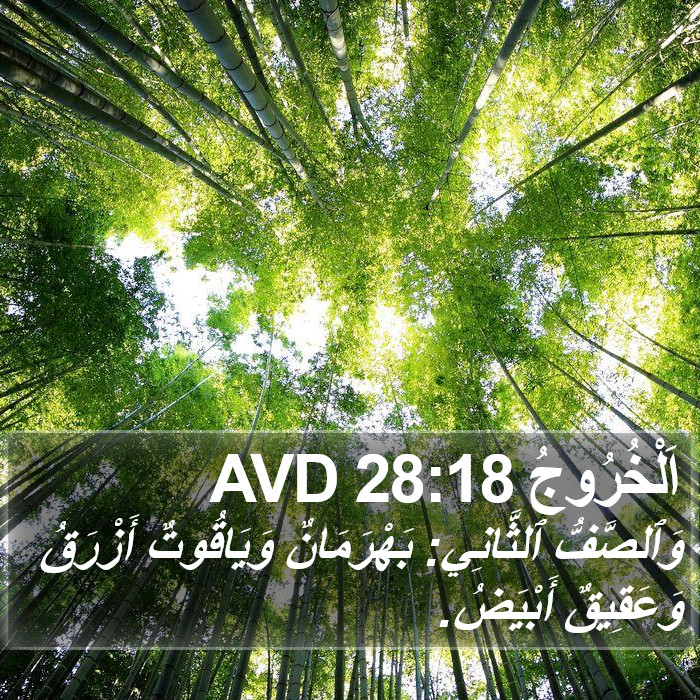 اَلْخُرُوجُ 28:18 AVD Bible Study