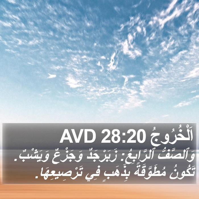 اَلْخُرُوجُ 28:20 AVD Bible Study