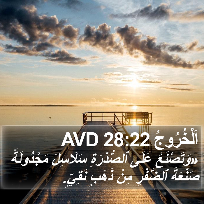 اَلْخُرُوجُ 28:22 AVD Bible Study