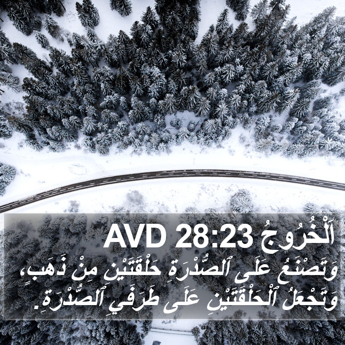 اَلْخُرُوجُ 28:23 AVD Bible Study