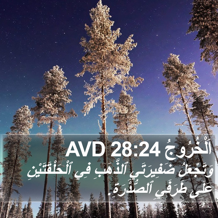 اَلْخُرُوجُ 28:24 AVD Bible Study