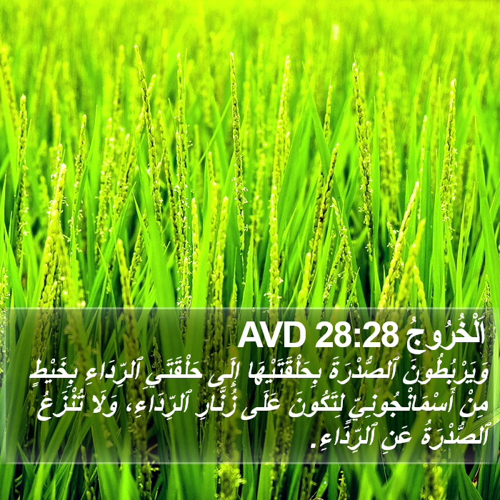 اَلْخُرُوجُ 28:28 AVD Bible Study