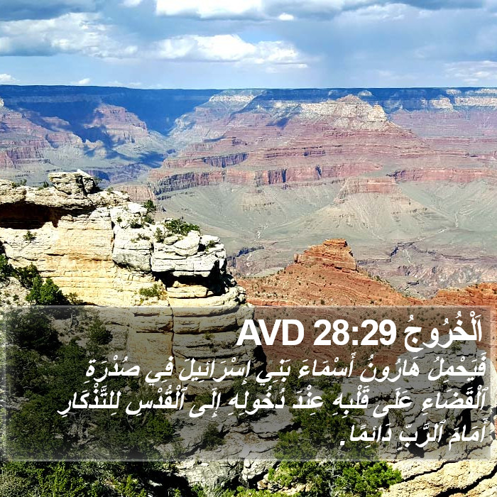 اَلْخُرُوجُ 28:29 AVD Bible Study