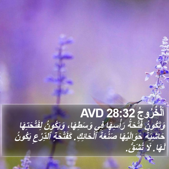 اَلْخُرُوجُ 28:32 AVD Bible Study