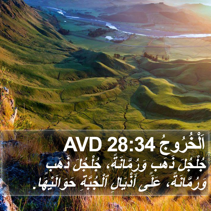اَلْخُرُوجُ 28:34 AVD Bible Study