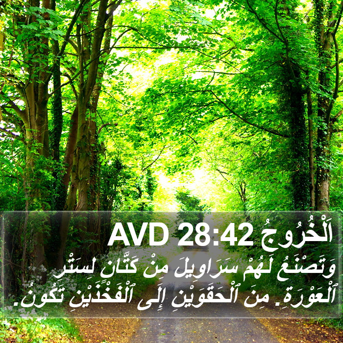 اَلْخُرُوجُ 28:42 AVD Bible Study