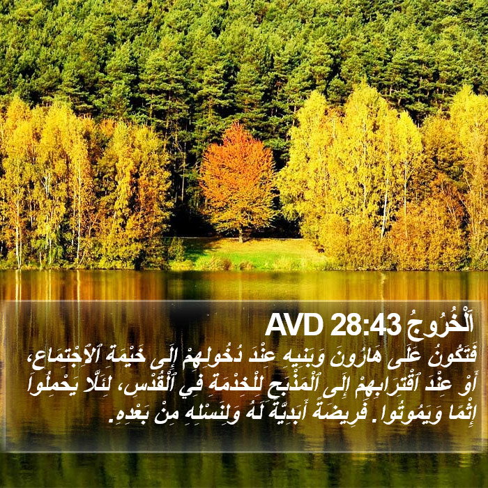 اَلْخُرُوجُ 28:43 AVD Bible Study