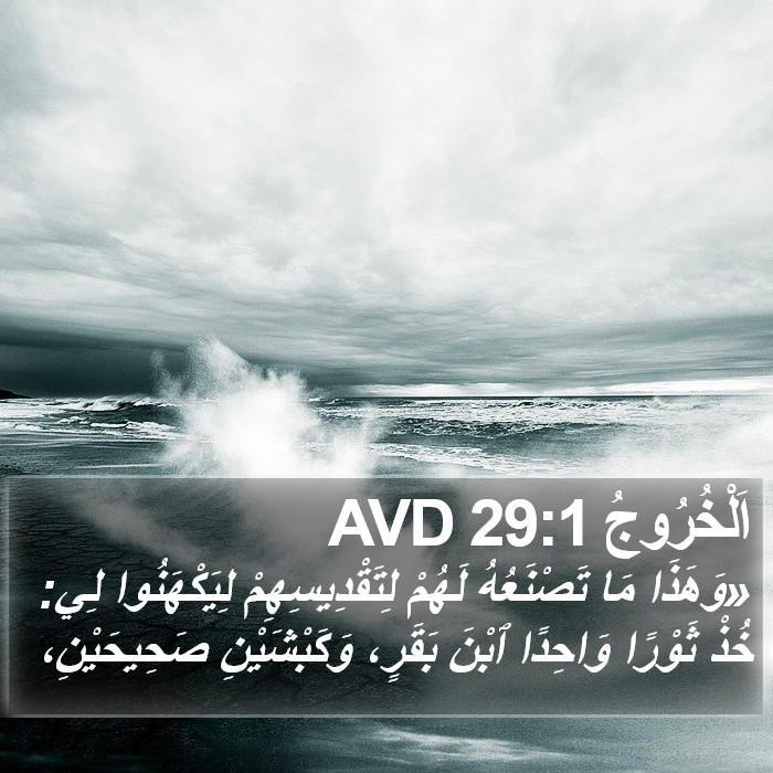 اَلْخُرُوجُ 29:1 AVD Bible Study