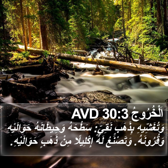 اَلْخُرُوجُ 30:3 AVD Bible Study