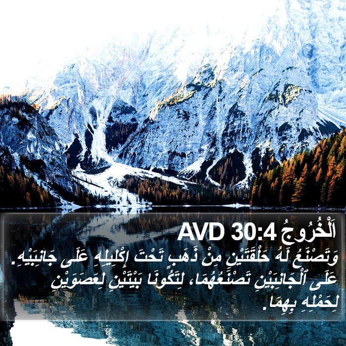 اَلْخُرُوجُ 30:4 AVD Bible Study