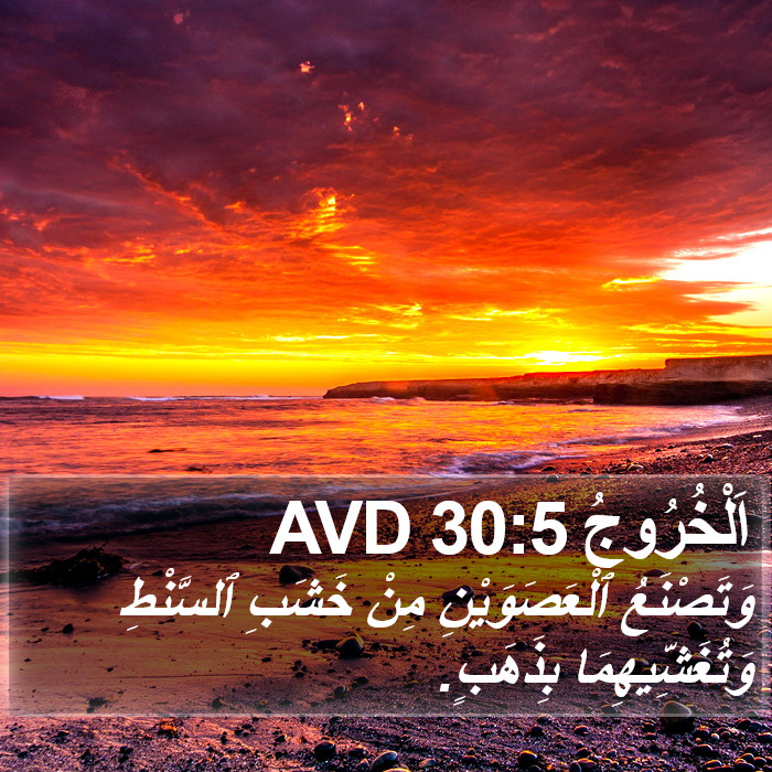 اَلْخُرُوجُ 30:5 AVD Bible Study