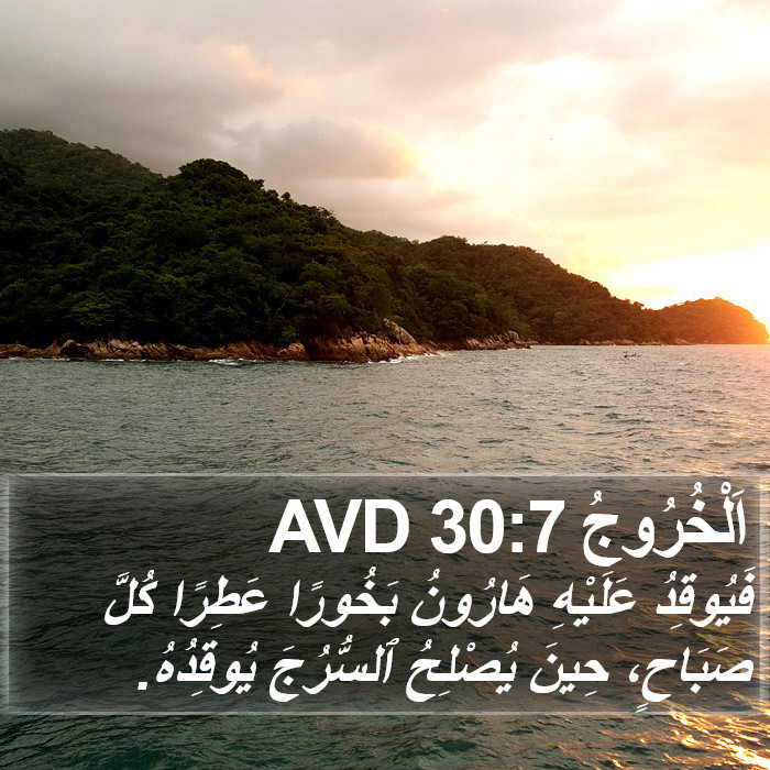 اَلْخُرُوجُ 30:7 AVD Bible Study