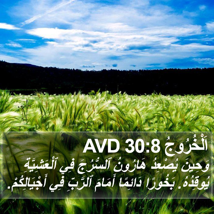 اَلْخُرُوجُ 30:8 AVD Bible Study