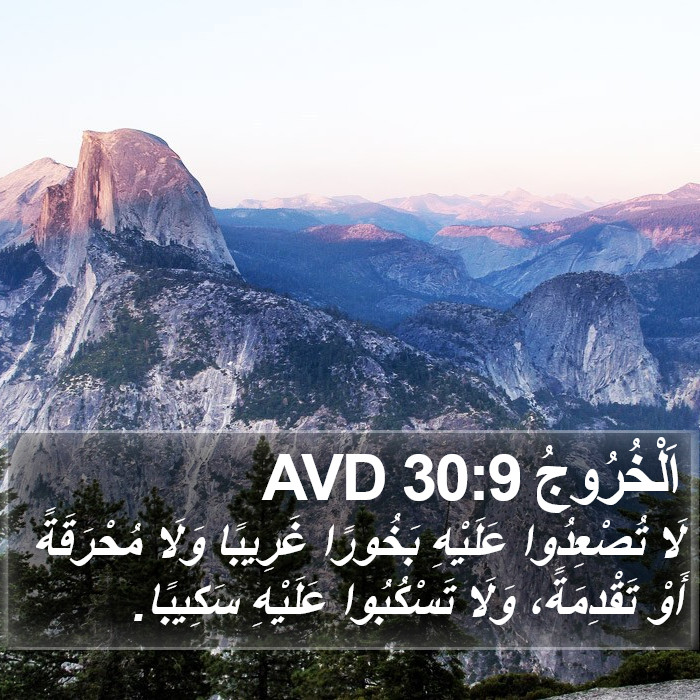 اَلْخُرُوجُ 30:9 AVD Bible Study