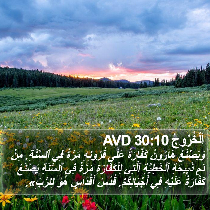 اَلْخُرُوجُ 30:10 AVD Bible Study