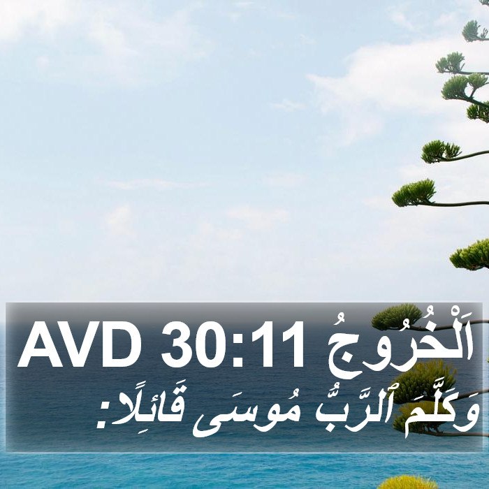 اَلْخُرُوجُ 30:11 AVD Bible Study