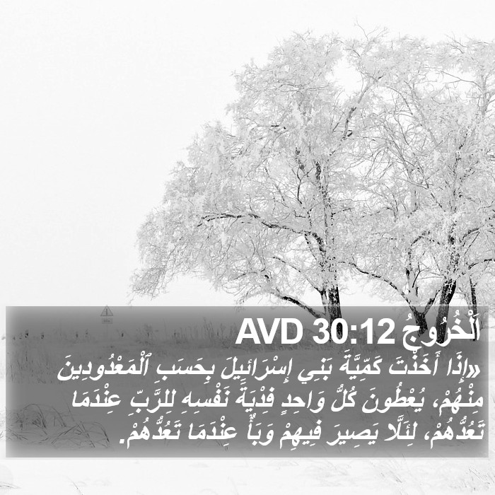 اَلْخُرُوجُ 30:12 AVD Bible Study