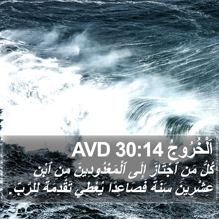 اَلْخُرُوجُ 30:14 AVD Bible Study