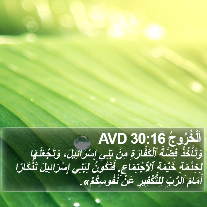 اَلْخُرُوجُ 30:16 AVD Bible Study