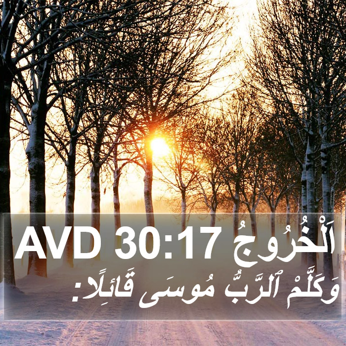 اَلْخُرُوجُ 30:17 AVD Bible Study