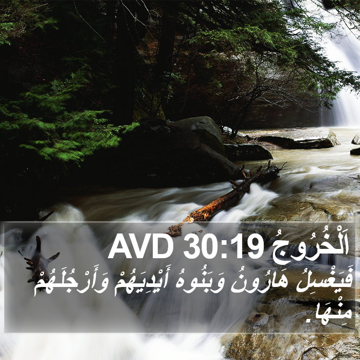 اَلْخُرُوجُ 30:19 AVD Bible Study