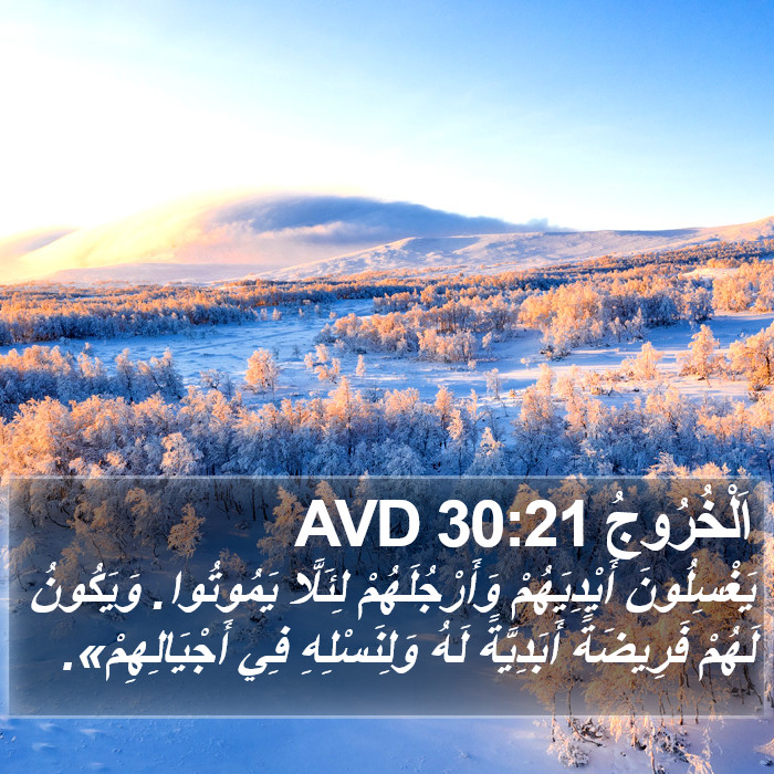 اَلْخُرُوجُ 30:21 AVD Bible Study