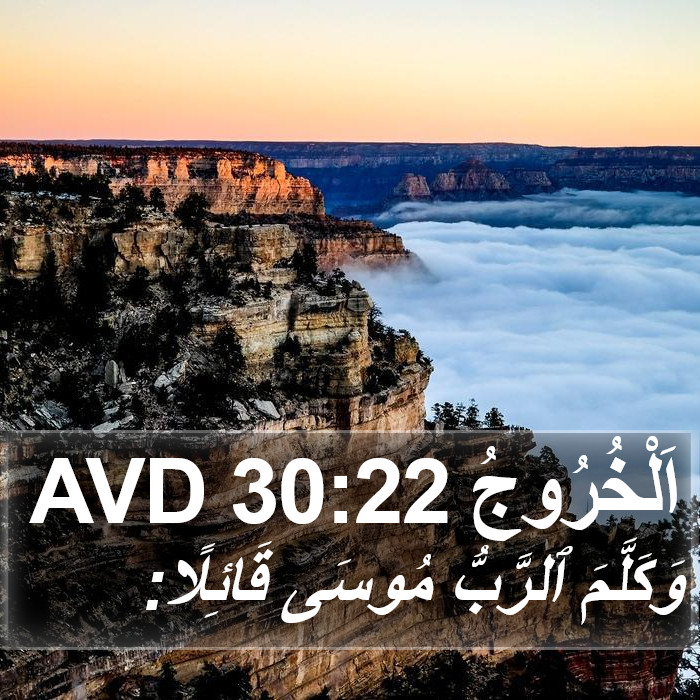 اَلْخُرُوجُ 30:22 AVD Bible Study