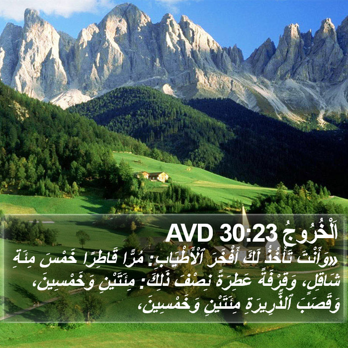 اَلْخُرُوجُ 30:23 AVD Bible Study