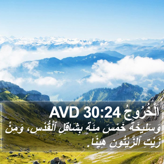 اَلْخُرُوجُ 30:24 AVD Bible Study