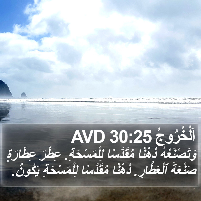 اَلْخُرُوجُ 30:25 AVD Bible Study