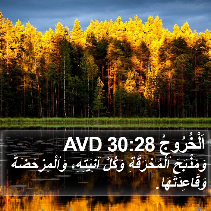 اَلْخُرُوجُ 30:28 AVD Bible Study