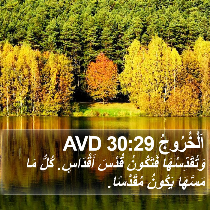 اَلْخُرُوجُ 30:29 AVD Bible Study