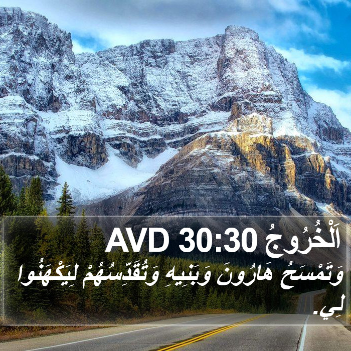 اَلْخُرُوجُ 30:30 AVD Bible Study