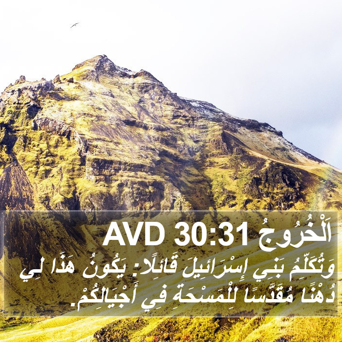 اَلْخُرُوجُ 30:31 AVD Bible Study