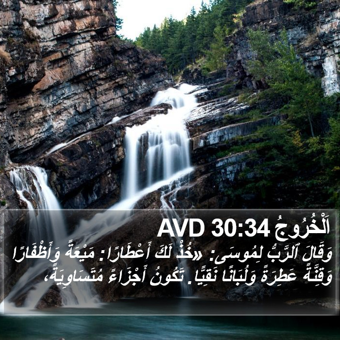 اَلْخُرُوجُ 30:34 AVD Bible Study