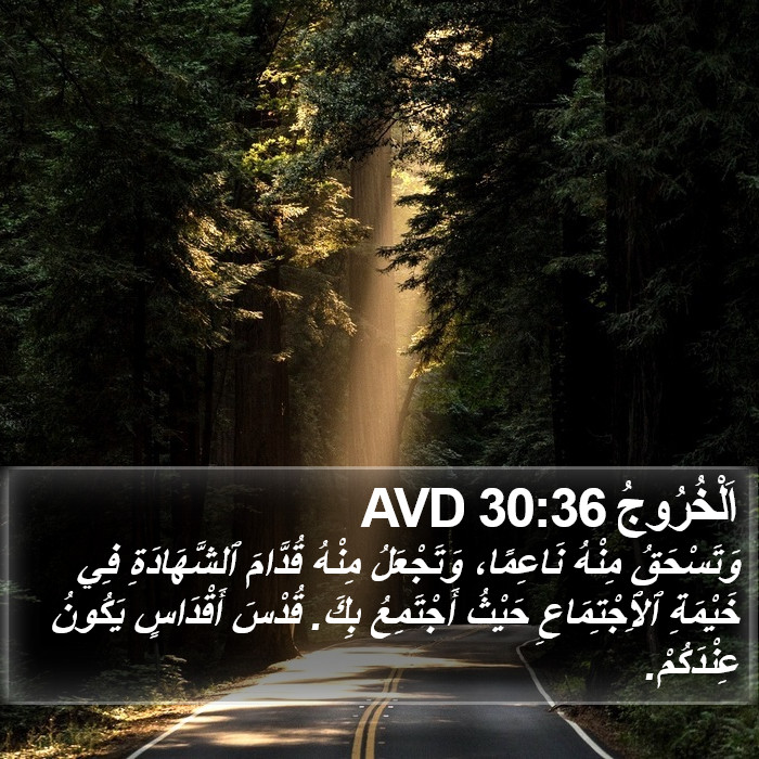 اَلْخُرُوجُ 30:36 AVD Bible Study