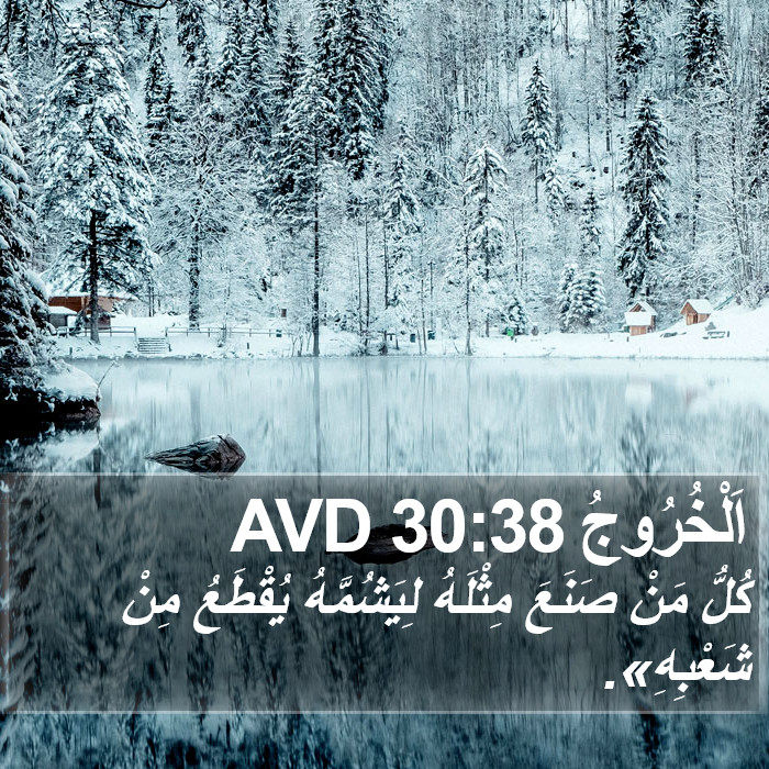 اَلْخُرُوجُ 30:38 AVD Bible Study