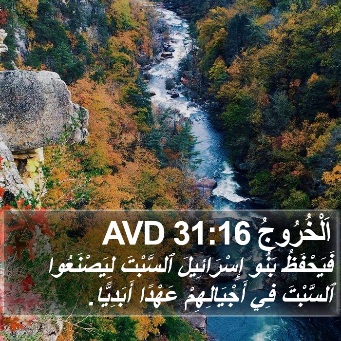 اَلْخُرُوجُ 31:16 AVD Bible Study