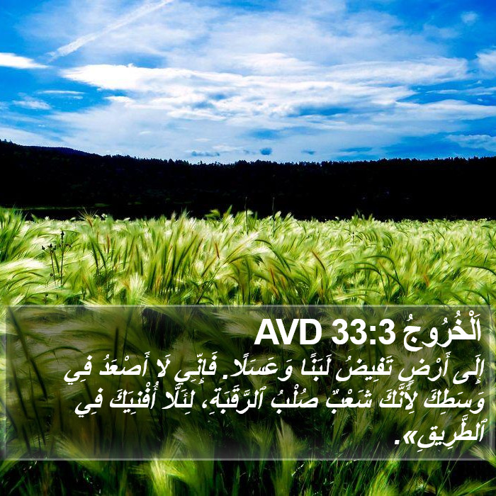 اَلْخُرُوجُ 33:3 AVD Bible Study