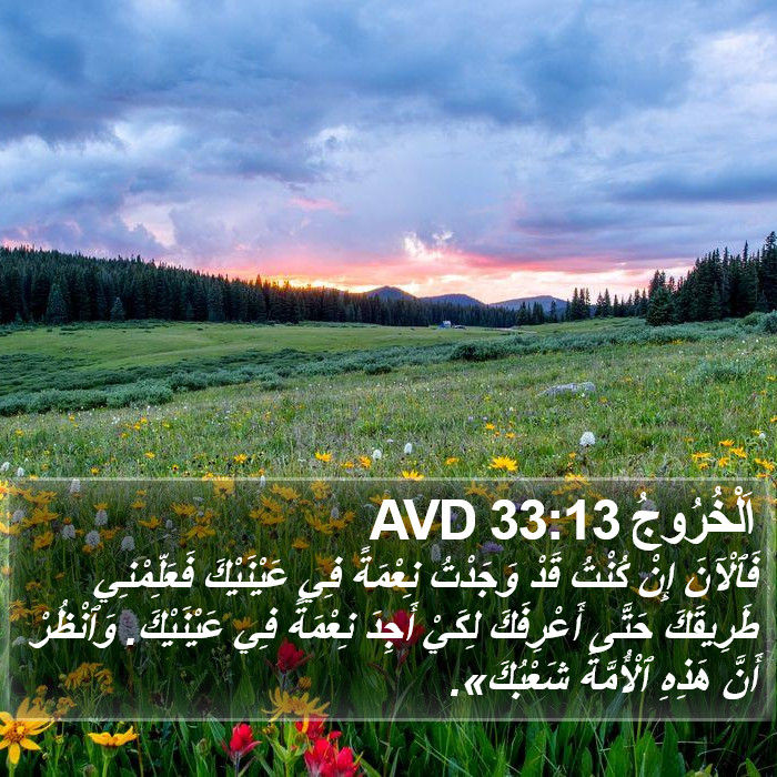 اَلْخُرُوجُ 33:13 AVD Bible Study